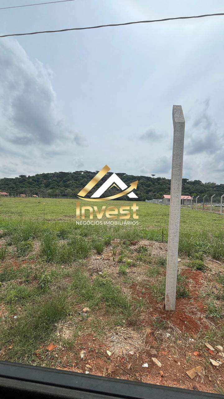 Chácara à venda - Colônia Dona Luíza,Ponta Grossa