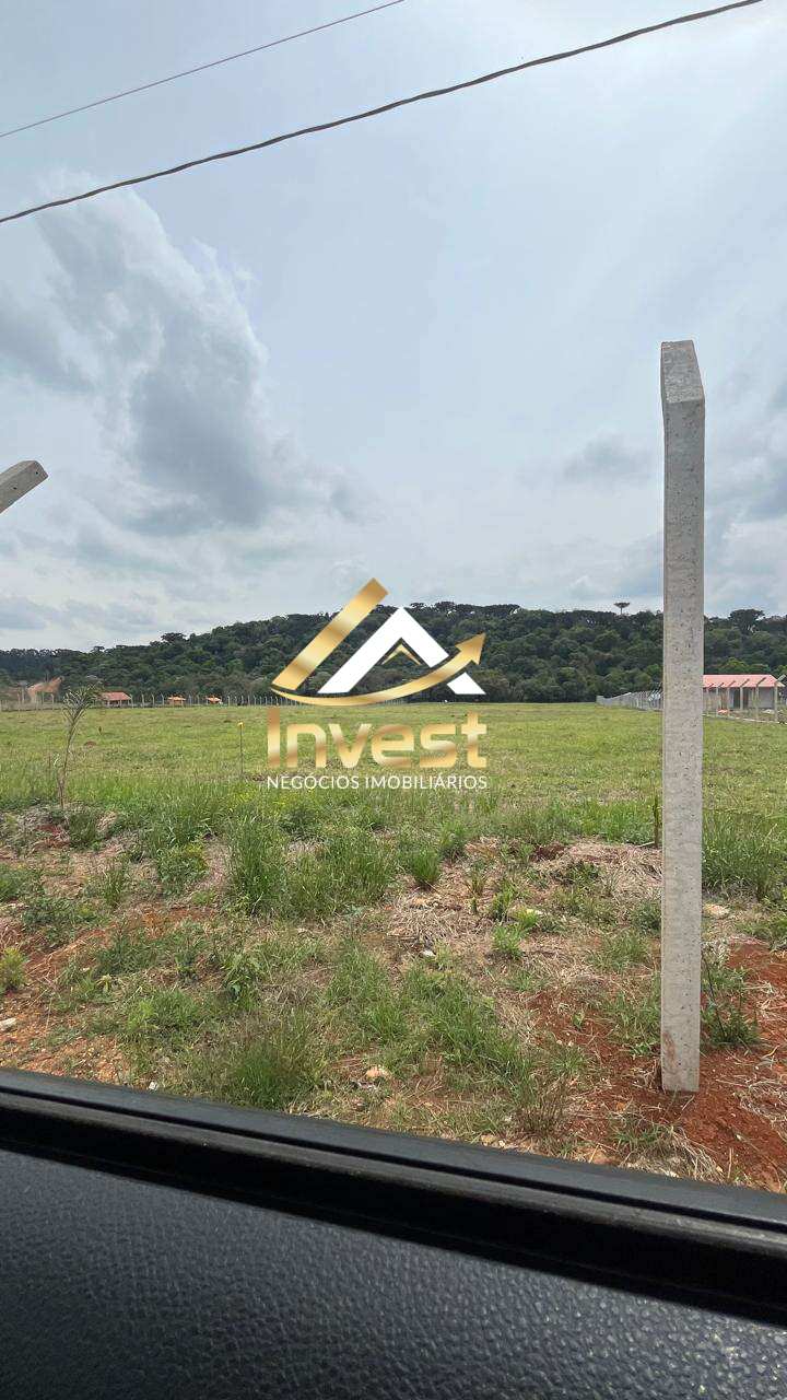 Chácara à venda - Colônia Dona Luíza,Ponta Grossa