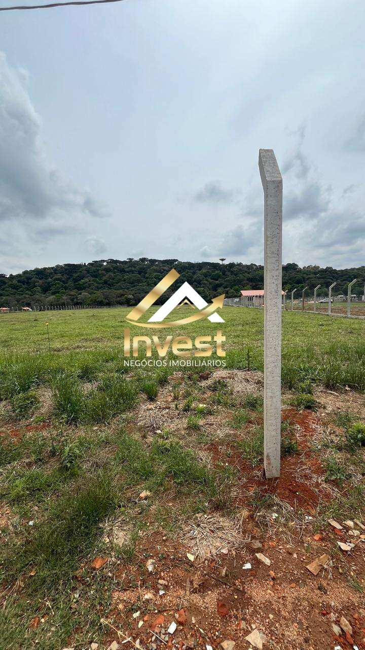 Chácara à venda - Colônia Dona Luíza,Ponta Grossa